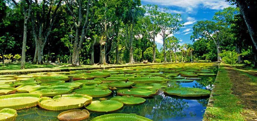 Lotus Villa, Residences Le Chaumet, Pereybere Bain Boeuf Экстерьер фото